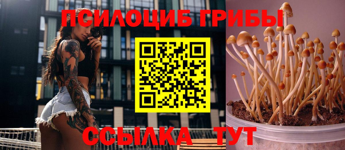 Галлюциногенные грибы мухоморы Бирск